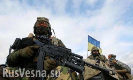ВСУ лютуют на Донбассе: отнимают дома, транспорт и создают «смертоносные запасы» (ВИДЕО)