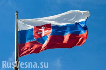 Экстремисты могут победить на выборах в Словакии