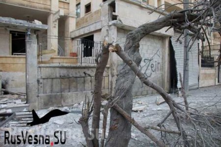 Алеппо в огне: враг наносит удар за ударом, безжалостно убивая людей (ФОТО, ВИДЕО 18+)