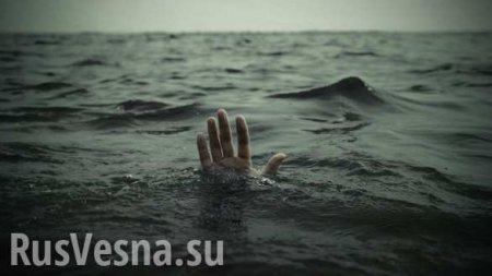 Рыба из Азовского моря мстит «всушникам», каратель утонул в крещенской «иордани»: сводка с Донбасса
