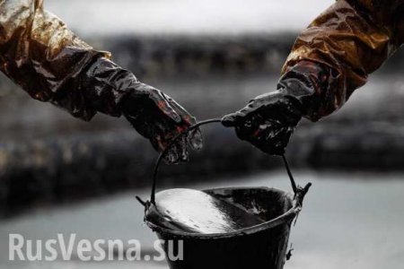 Белоруссия нашла замену российской нефти