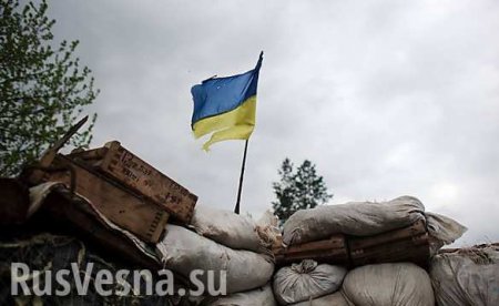 В Госдуме ответили на заявление Зеленского о прекращении войны на Донбассе