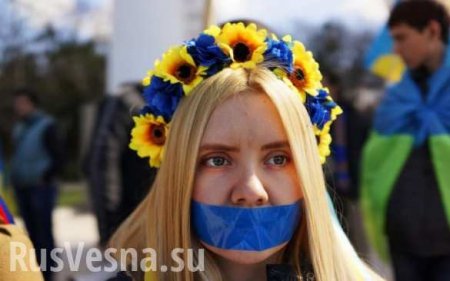 Европейские журналисты возмущены украинским законопроектом о дезинформации