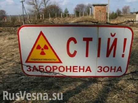 Символ Украины: опубликованы удивительно грустные фото заброшенного села в Чернобыльской зоне (+ФОТО)