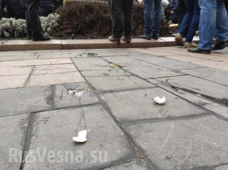 В Харькове неонацисты напали на участников пикета в поддержку русского языка (ФОТО, ВИДЕО)