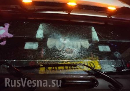 «Я здесь главный!» — поляк напал на российский грузовик (ФОТО, ВИДЕО)