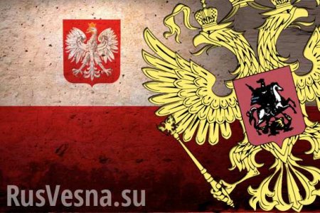 В МИД Польши сделали наглое заявление о репарациях от России