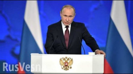 Путин дал Польше «по морде» (ВИДЕО)