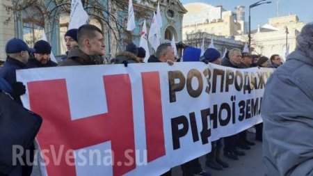 «Слугам народа» принесли золотой унитаз: протесты у Рады и Офиса Зеленского (ФОТО, ВИДЕО)