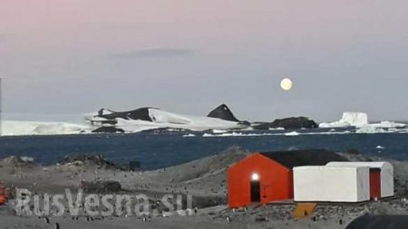 Угрожающая аномалия: в Антарктиде установилась феноменальная жара (ФОТО, ВИДЕО)