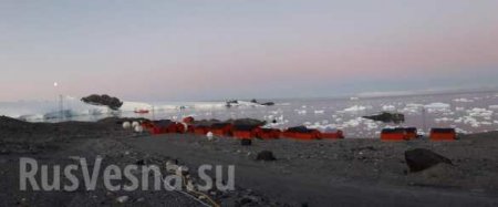 Угрожающая аномалия: в Антарктиде установилась феноменальная жара (ФОТО, ВИДЕО)