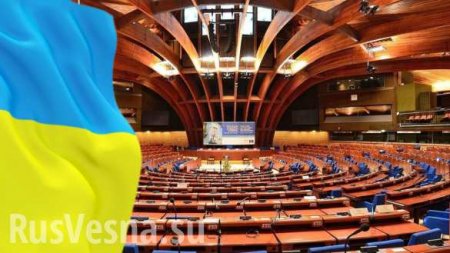 Нас не услышали, — МИД Украины предъявляет претензии Совету Европы