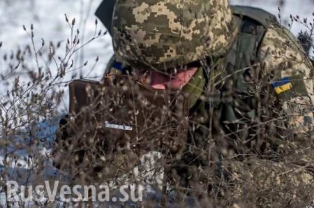 Пограничники ФСБ задержали украинского нацгвардейца-дезертира