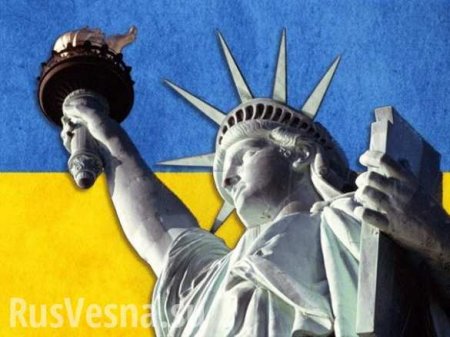 На Украине предложили продать несколько областей американцам (ВИДЕО)