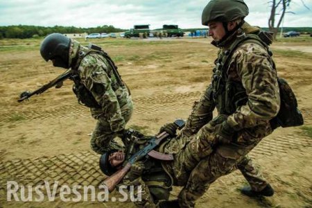«УГИЛ к ИГИЛ»: Украина намерена отправить военных в Ирак