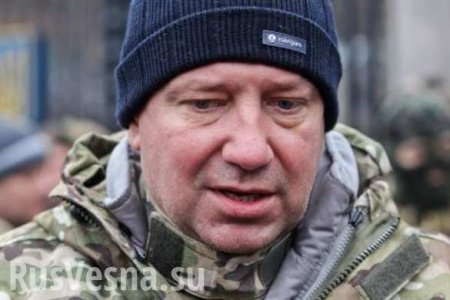 Эксперт прокомментировал задержание в ЕС экс-командира «Айдара» по запросу России
