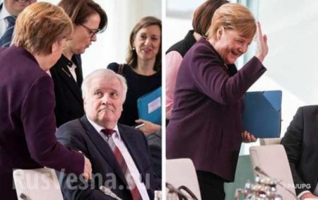 Страх заражения: Министр отказался пожать руку Меркель (ФОТО, ВИДЕО)