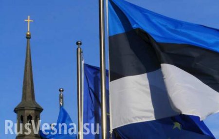 Истерика в Прибалтике: звонкая оплеуха Москвы президенту Эстонии