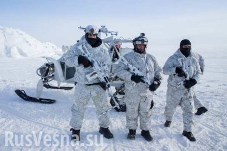 Пентагон запаниковал: США боятся столкнуться с Россией в Арктике