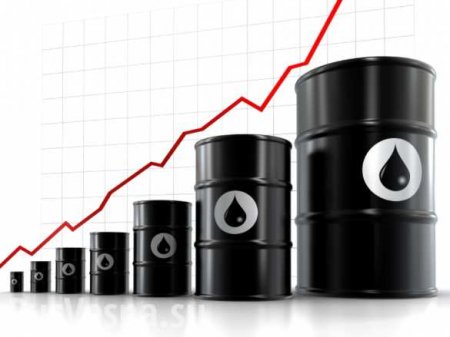 Мировые цены на нефть отыграли треть утреннего падения