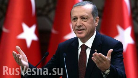 «Эрдоган поймал Европу за гриву» (ВИДЕО)