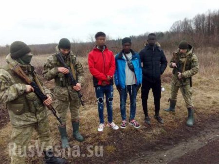 Африканцы пытались сбежать с Украины в Польшу (ФОТО)