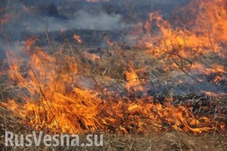 ВСУ применяют к ОБСЕ тактику «выжженной земли»: сводка с Донбасса