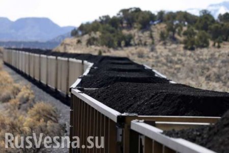Сумма ущерба 100 млн рублей: раскрыта крупная преступная схема на шахте Донбасса (ВИДЕО)