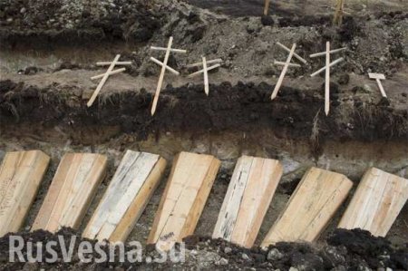 Карантин на Украине убьёт 10 тысяч человек, — Комаровский (ВИДЕО)