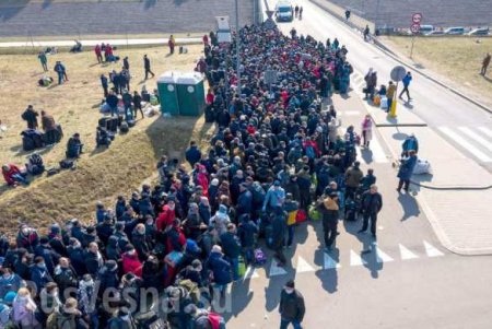 Подтянуть войска и отправить в лагеря: украинцы боятся возвращения домой тысяч заробитчан из Польши (ФОТО, ВИДЕО)