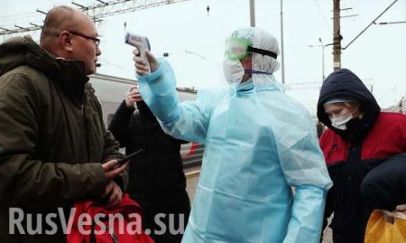 Эпидемия: главное к утру по России