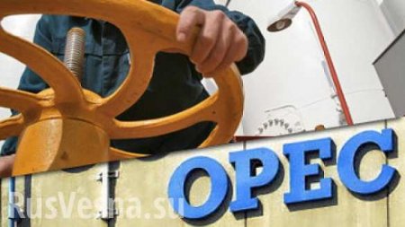 Подробности об условиях снижения добычи нефти — страны ОПЕК+ выпустили заявление