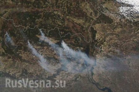 В Чернобыльской зоне ситуация с пожаром вышла из-под контроля - горят сёла, огонь подбирается к АЭС (ФОТО, ВИДЕО)