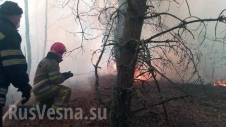 А Чернобыль всё горит: новые очаги огня (ФОТО)