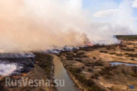 А Чернобыль всё горит: новые очаги огня (ФОТО)