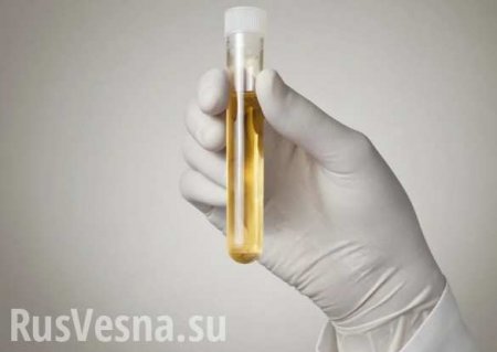 В Россию из США ввезён штамм коронавируса