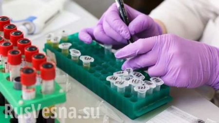 На Украине назвали показатель смертности от коронавируса