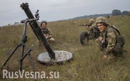 Украинская ДРГ самоуничтожилась некачественным миномётом: сводка о военной ситуации