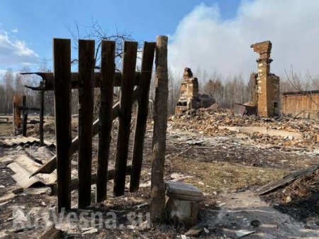 Страшные кадры: сгоревшие сёла под Чернобылем (ФОТО)