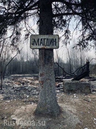 Страшные кадры: сгоревшие сёла под Чернобылем (ФОТО)