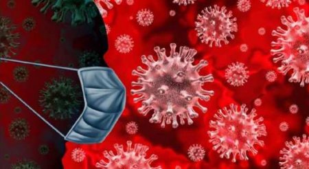 Коронавирус плохо приспособлен к теплу — новые выводы учёных (ФОТО)