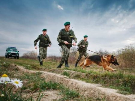 Стрельба в Закарпатье: украинские пограничники отчитались о спецоперации (ФОТО, ВИДЕО)