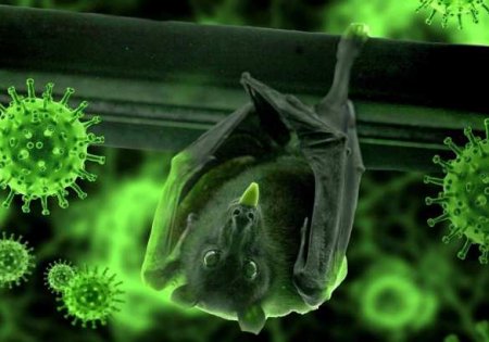Учёные объявили о доказательстве естественного происхождения нового коронавируса