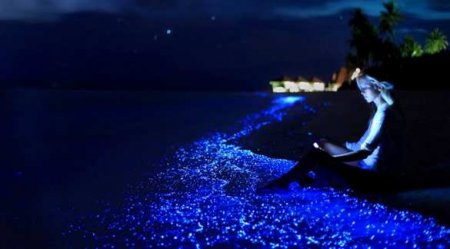 Завораживающее зрелище: свечение океана поразило пользователей Сети (ВИДЕО)