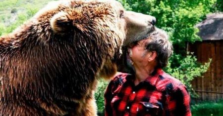 В Ярославле медведь напал на человека: мужчину спас таксист (ВИДЕО)