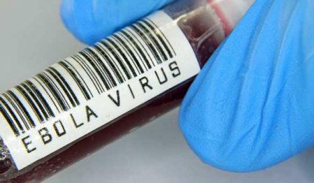 Зафиксирована новая вспышка лихорадки Эбола