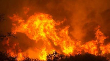 Опытный каратель погиб под завалами горящего блиндажа на Донбассе (ФОТО)