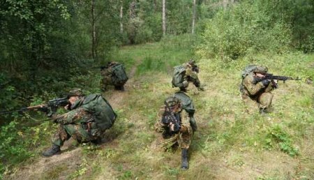 Спецоперация под Могилёвом: нейтрализован «лесной» отряд (ВИДЕО)