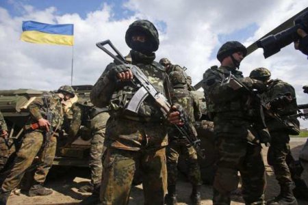 Бич украинской армии: жажда наживы наносит серьёзный удар по боеготовности оккупантов (ФОТО, ВИДЕО)