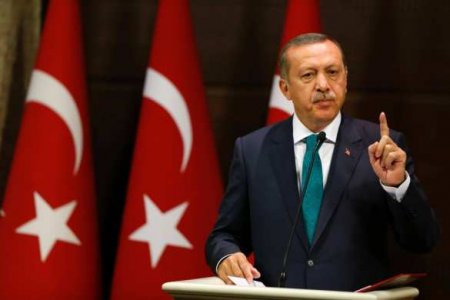 Эрдоган сообщил об обнаружении Турцией крупнейших запасов газа в Чёрном море (ВИДЕО)